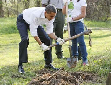 President Barack Obama plants trees with volunteers at the Kenilworth Aquatic Gardens.