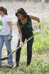 President Barack Obama and First Lady Michelle Obama plant trees with volunteers.