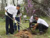 President Barack Obama plants trees with volunteers at the Kenilworth Aquatic Gardens.