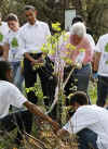 President Barack Obama and former President Bill Clinton plant trees with volunteers.