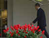 President Barack Obama leaves the Oval Office and walks across the South Lawn of the White House.